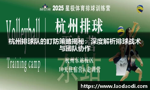 杭州排球队的盯防策略揭秘：深度解析排球战术与团队协作
